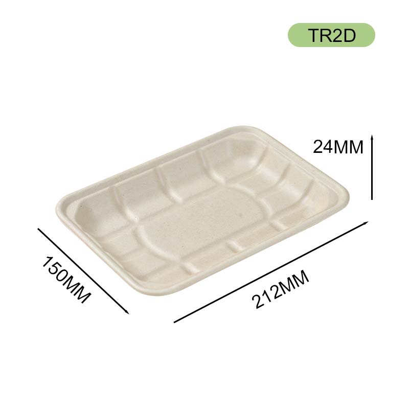 bagasse tray