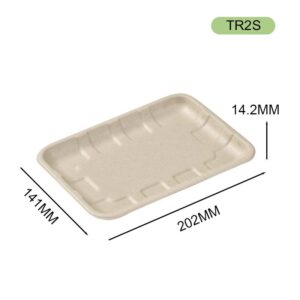 bagasse tray
