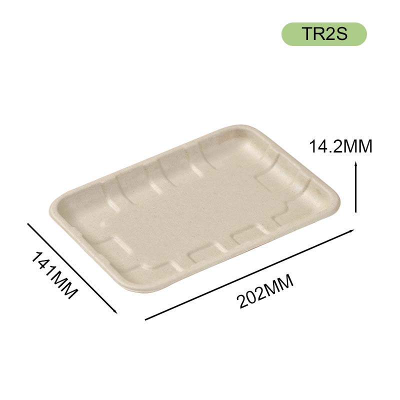 bagasse tray