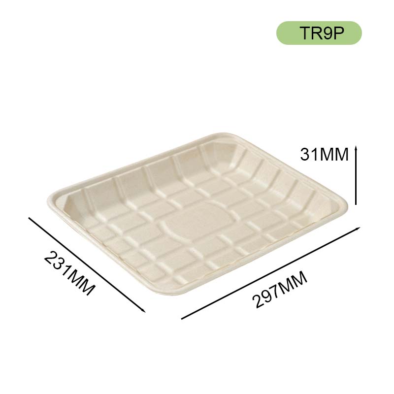 bagasse tray