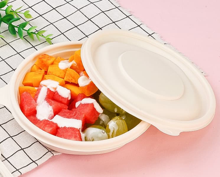 Takeout Food Bowl