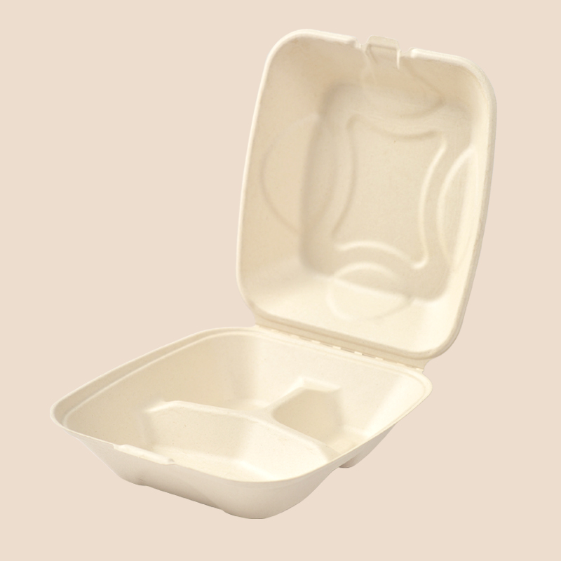 X093 Sugarcane Bagasse Packaging X093 Sugarcane Bagasse Packaging