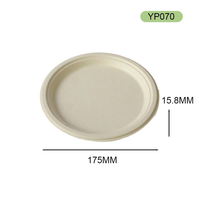 bagasse plate bagasse plate