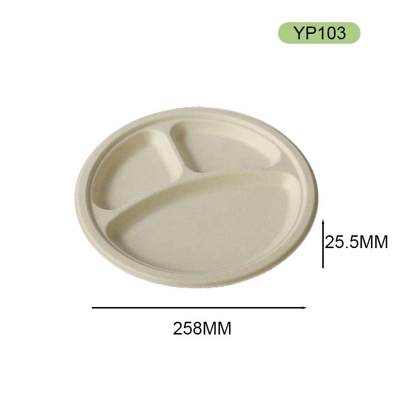 bagasse plate bagasse plate