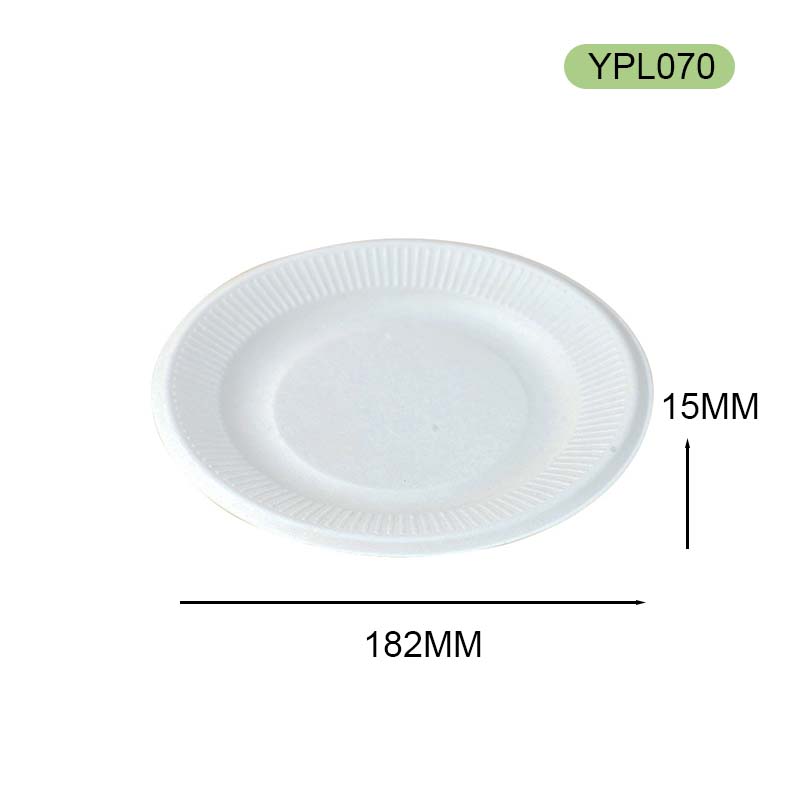 bagasse plate bagasse plate