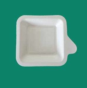 Bagasse Plate