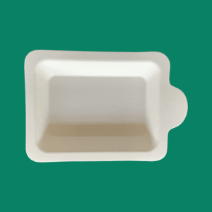 Bagasse Plate