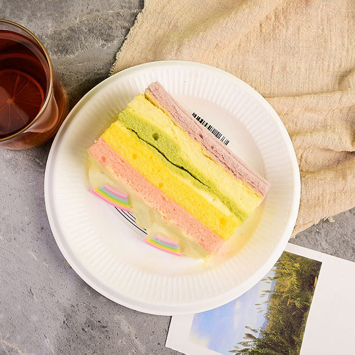 bagasse plate bagasse plate