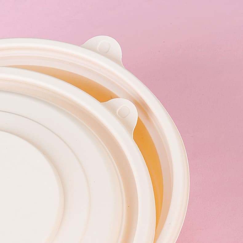 environmentally safe meal container