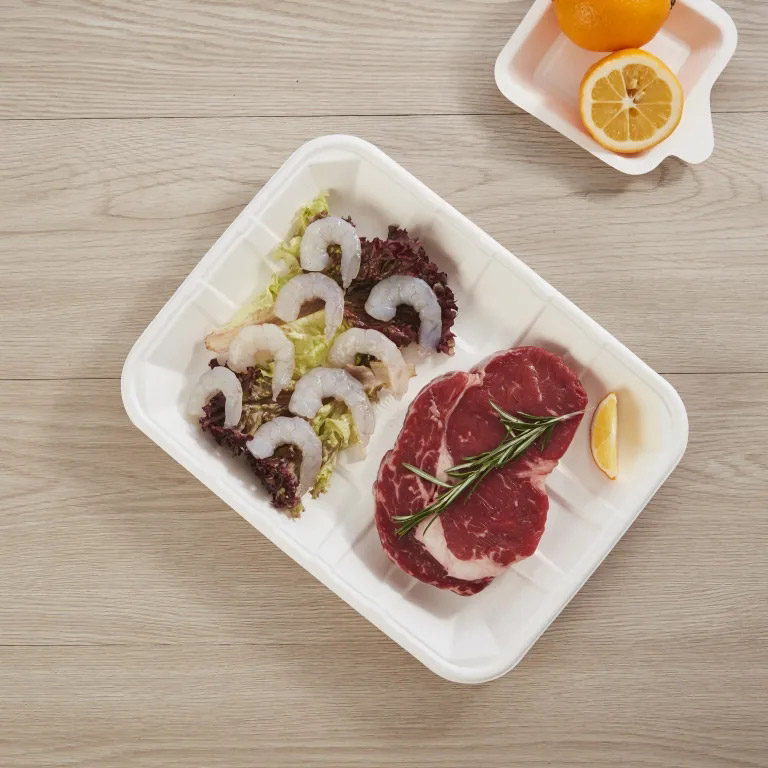 bagasse tray