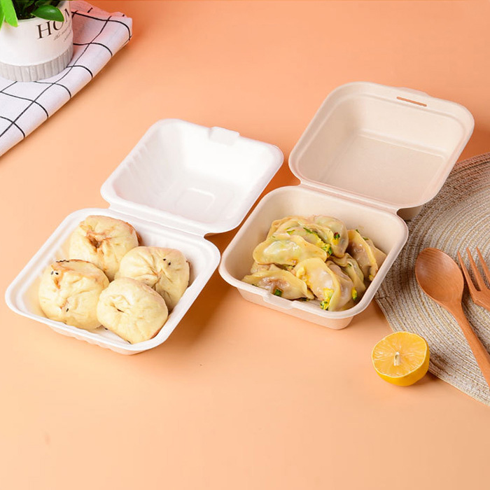 takeout packaging takeout packaging