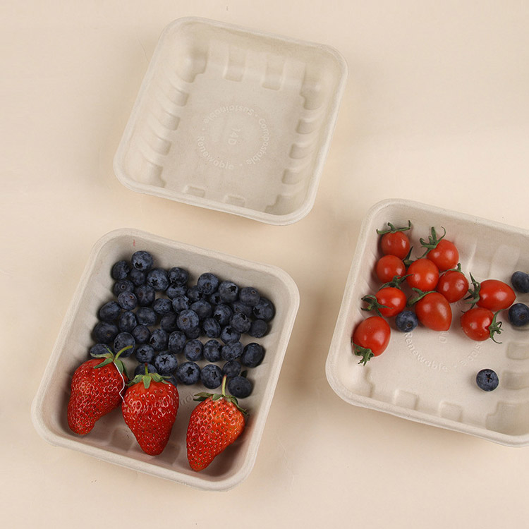 bagasse tray