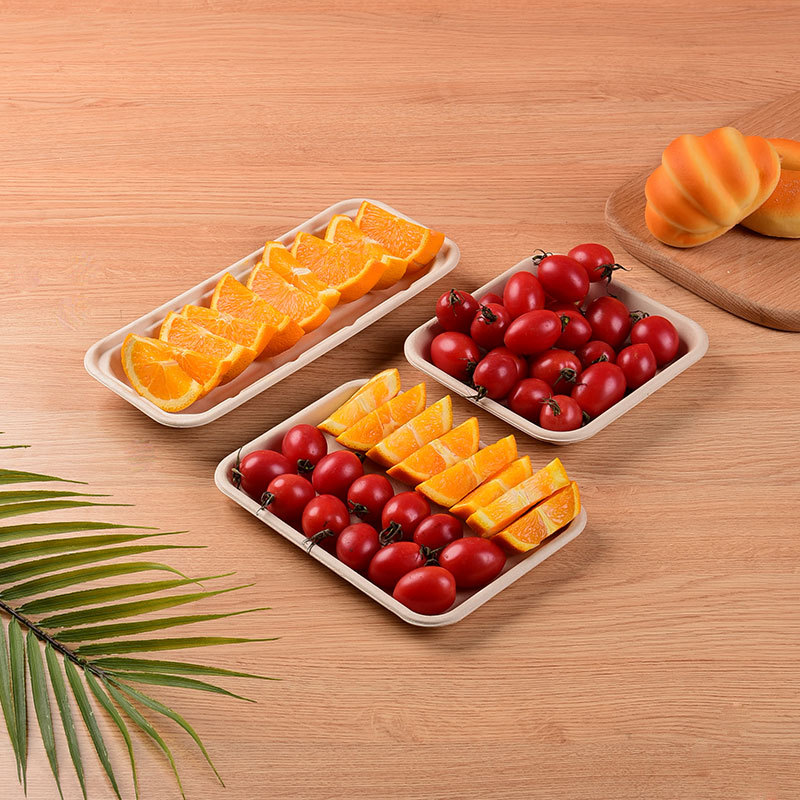 bagasse tray
