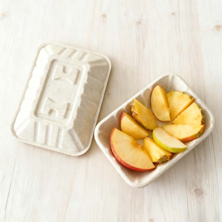 bagasse tray