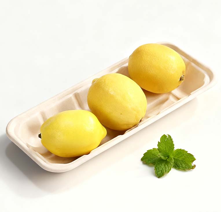 bagasse tray