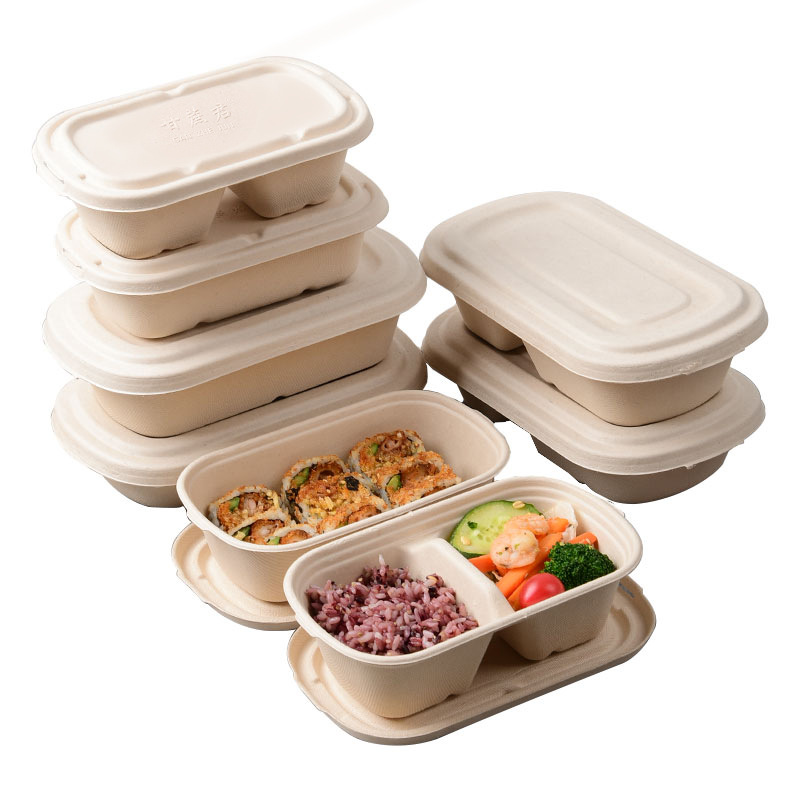 bagasse lunch box