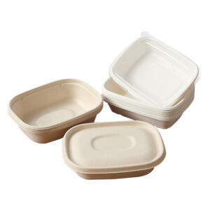 bagasse square box