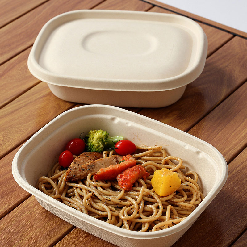CT850 Bagasse Takeaway Box--850ml Food Container 6 bagasse square box