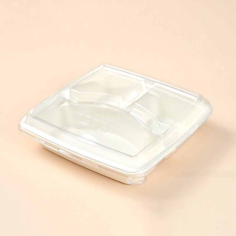 bagasse takeaway box with lid