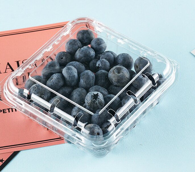 Blueberry Fruit Box