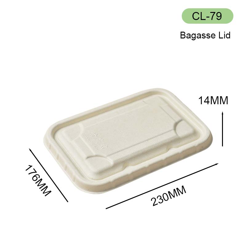 bagasse lid 