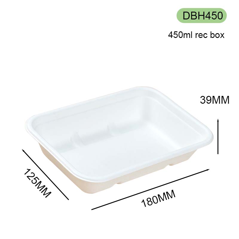 bagasse square box