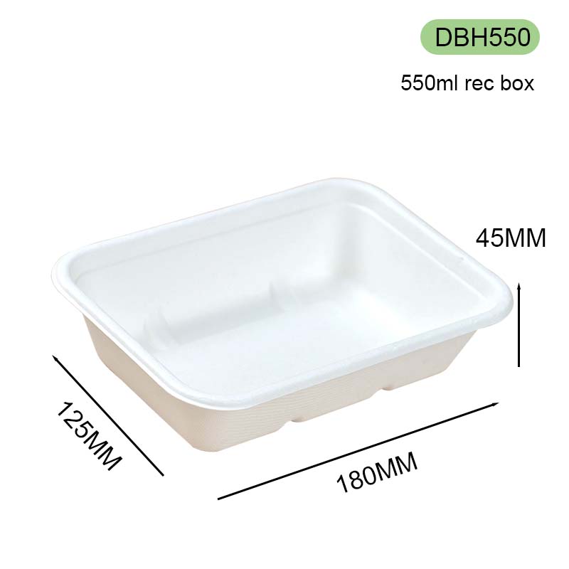 bagasse square box