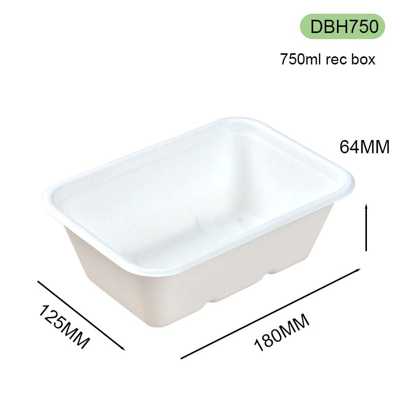 bagasse square box