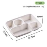 DASHAN FTD051 Bagasse 5-Compartment Takeaway Box(281*221*45mm)