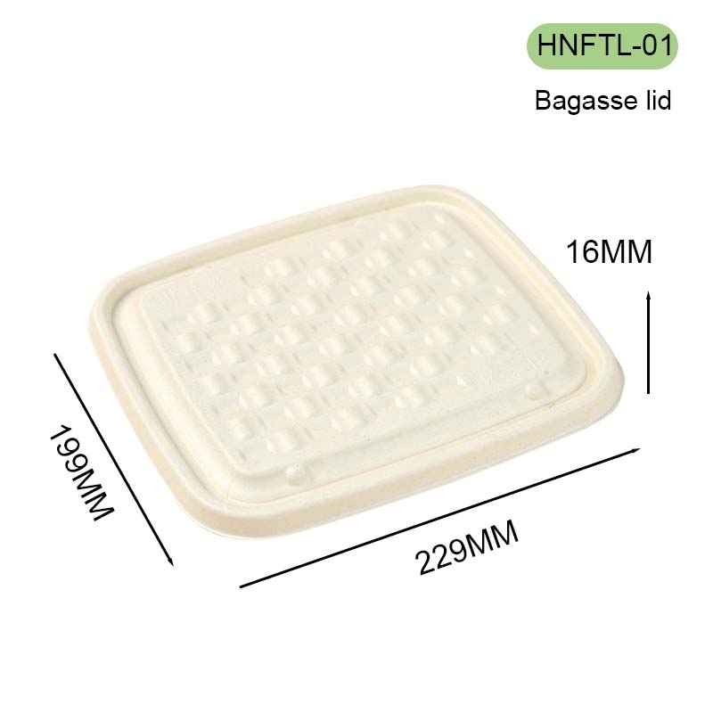 bagasse take out box