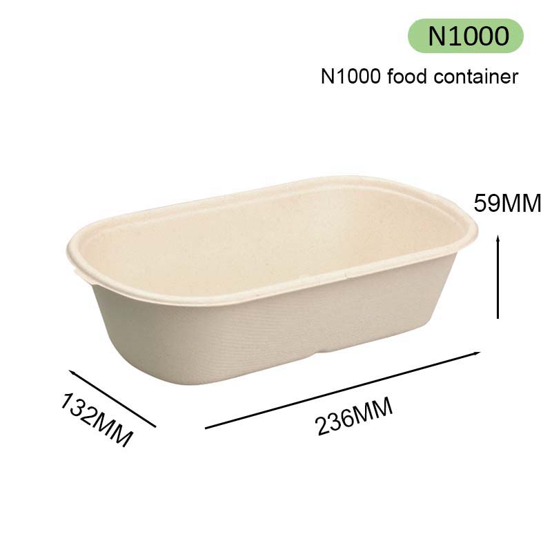 1000ml baggage takeaway box 1000ml baggage takeaway box
