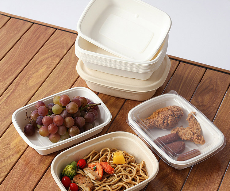 bagasse box