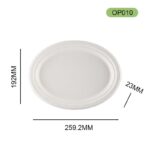 DASHAN OP010 Bagasse Plate – Eco-Friendly Sugarcane Tableware