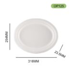 DASHAN OP125 Bagasse Plate – Eco-Friendly Sugarcane Tableware