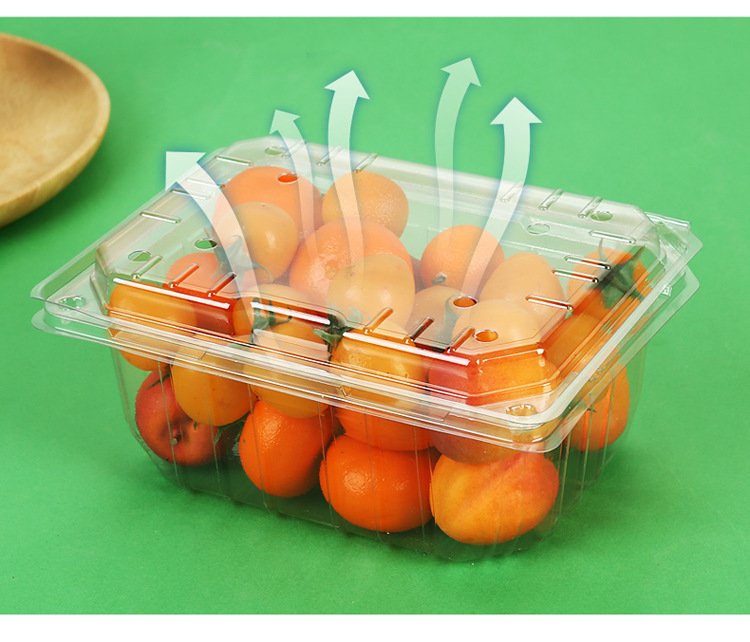 Orange Fruit Box
