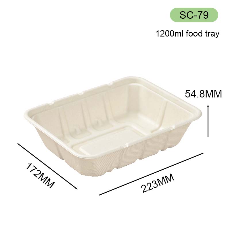 bagasse box