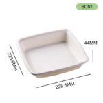 SC91 9-Inch Single Compartment Bagasse Takeaway Box — Sustainable Takeaway Packaging