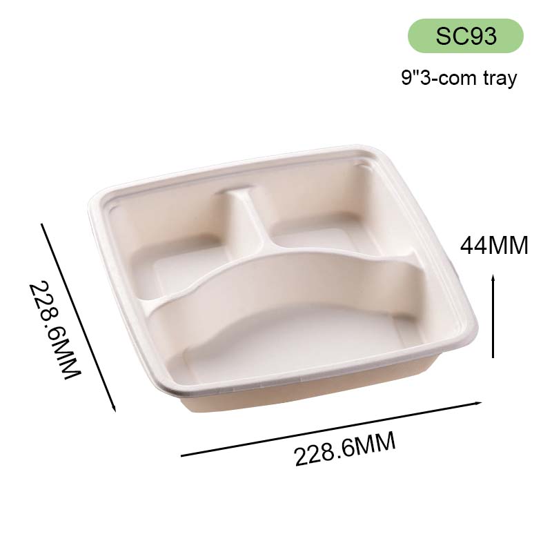 bagasse takeaway box