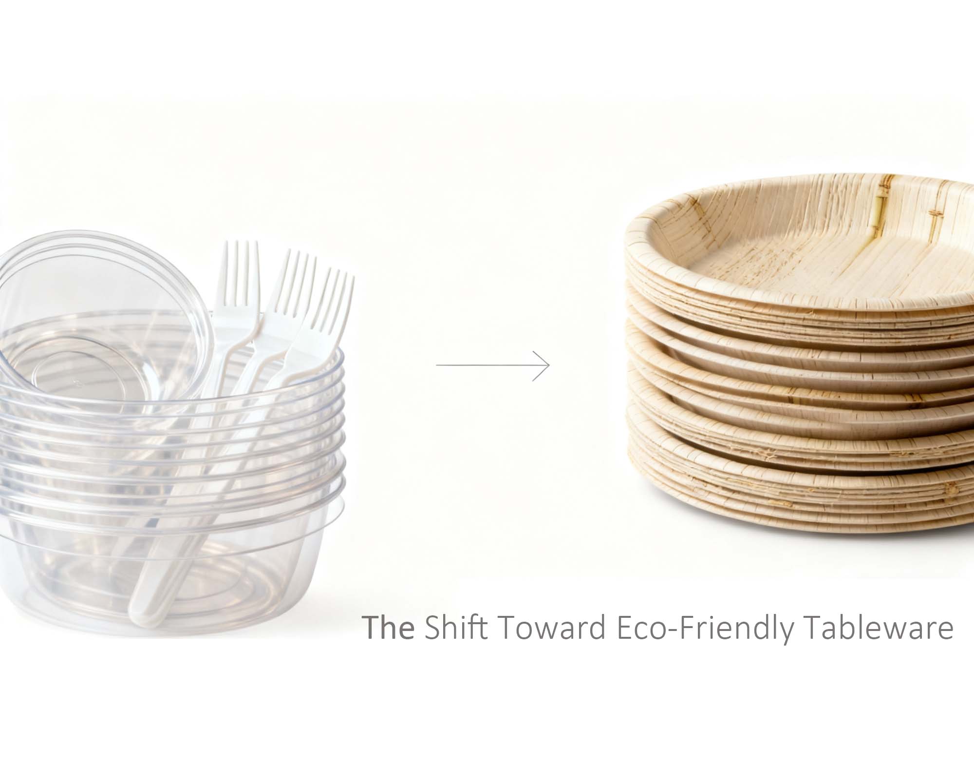  The Shift Toward Eco-Friendly Tableware