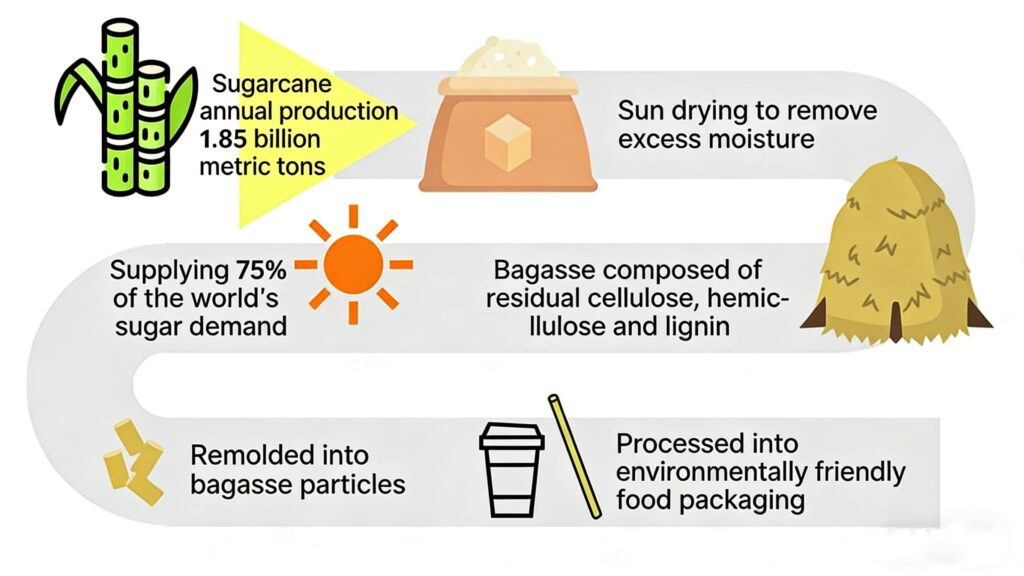 Formation of Sugarcane Bagasse