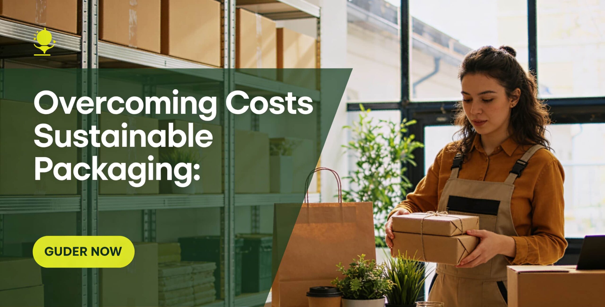 Overcoming the Costs of Sustainable Packaging A Guide for Businesses in the Modern World