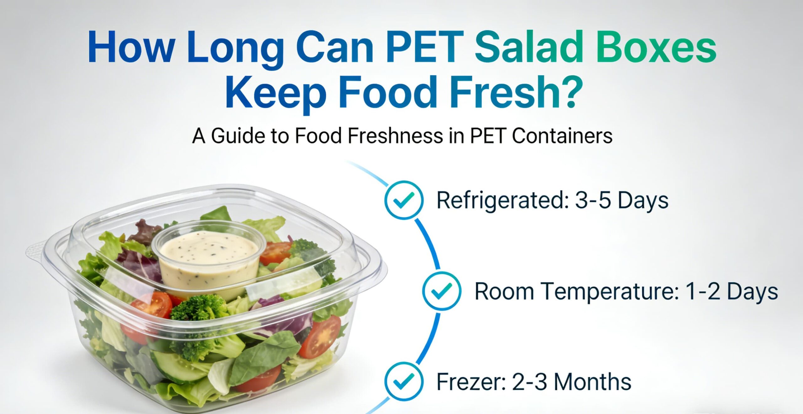 How Long Can PET Salad Boxes Keep Food Fresh