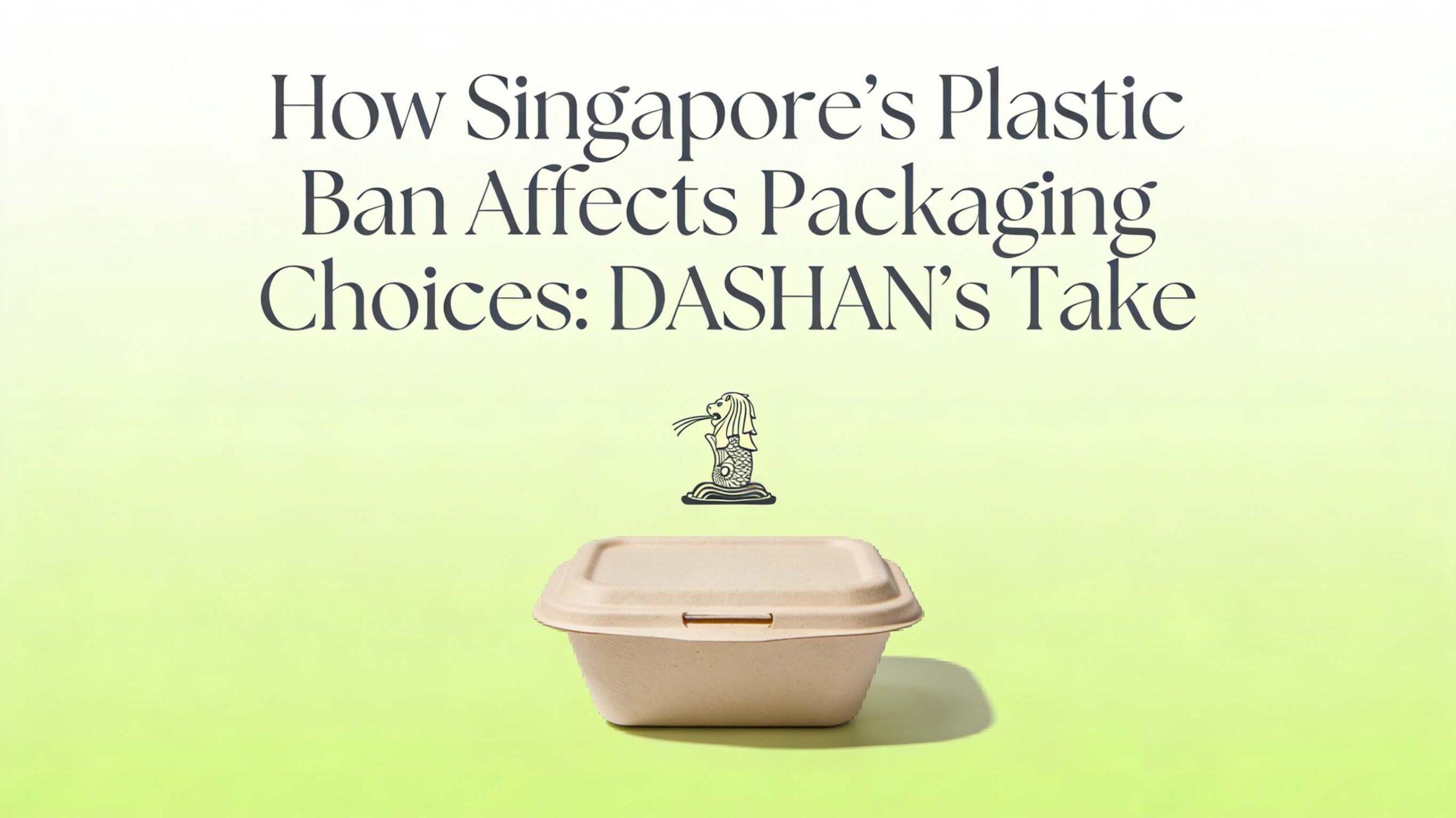 How Singapore’s Plastic Ban Affects Packaging Choices: DASHAN’s Take
