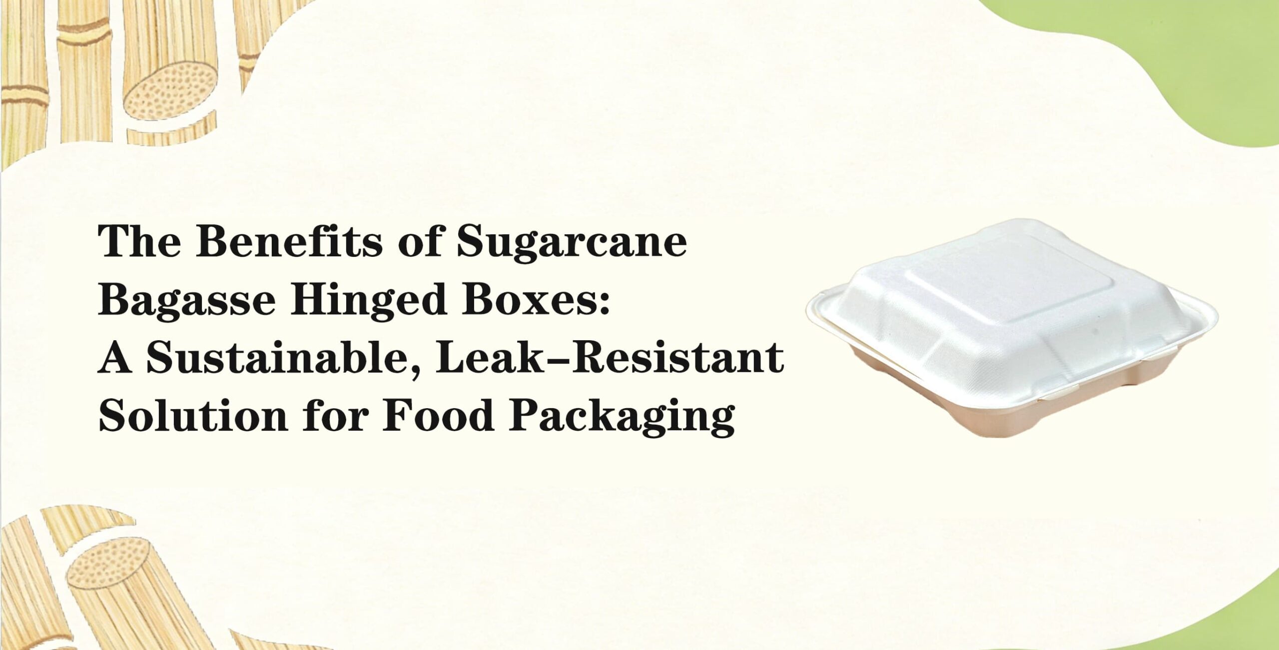 Sugarcane Bagasse Hinged Boxes