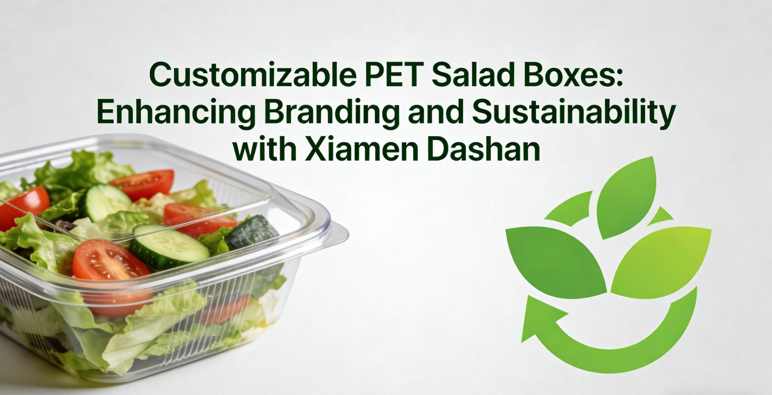Customizable PET Salad Boxes