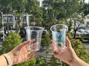 PET Cups vs PLA Cups