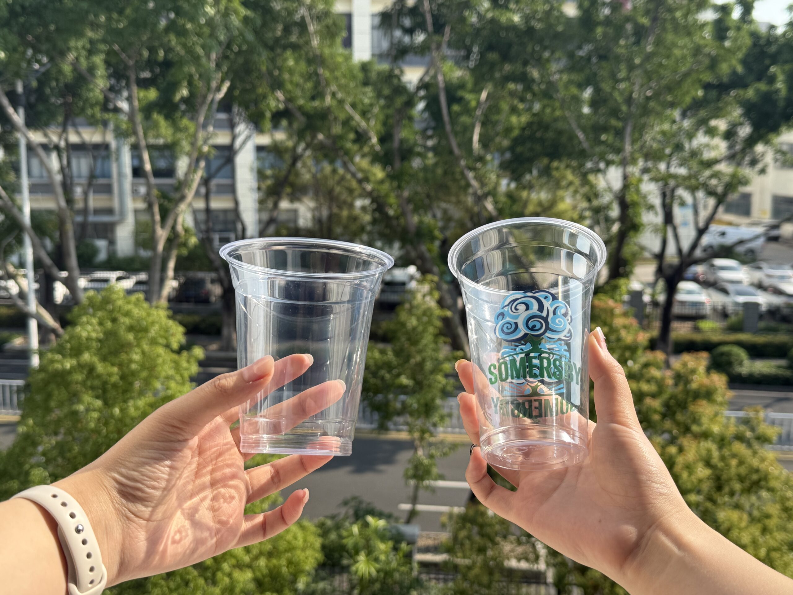 PET Cups vs PLA Cups