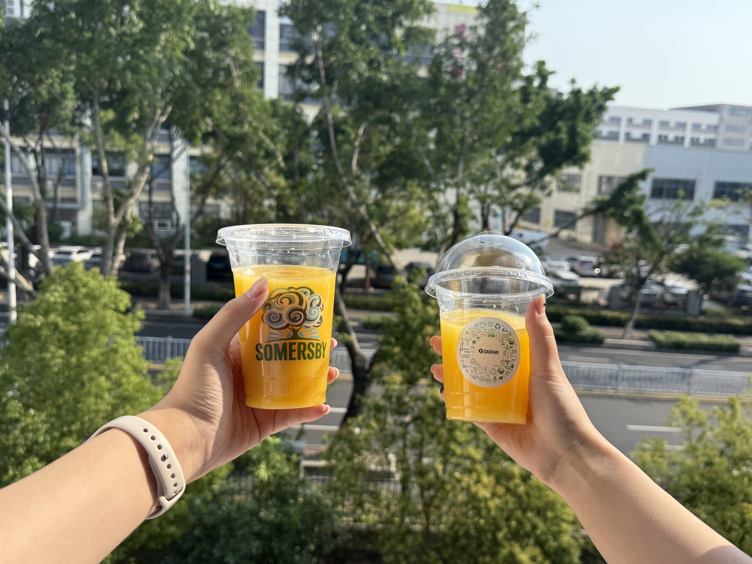 PET Cups